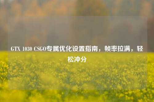GTX 1030 CSGO专属优化设置指南,帧率拉满,轻松冲分