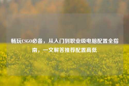 畅玩CSGO必备，从入门到职业级电脑配置全指南，一文解答推荐配置高低