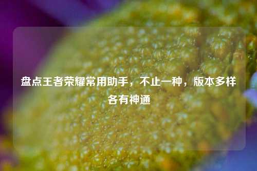 盘点王者荣耀常用助手,不止一种,版本多样各有神通