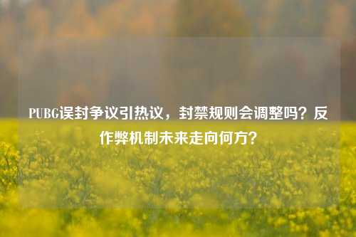 PUBG误封争议引热议，封禁规则会调整吗？反作弊机制未来走向何方？