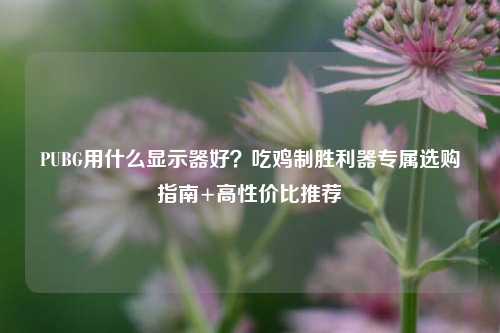 PUBG用什么显示器好?吃鸡制胜利器专属选购指南+高性价比推荐