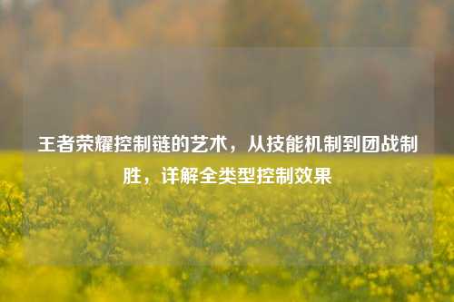 王者荣耀控制链的艺术,从技能机制到团战制胜,详解全类型控制效果