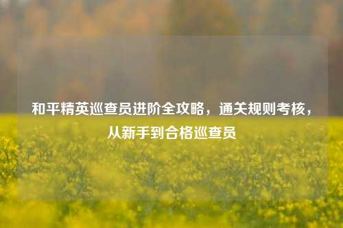 和平精英巡查员进阶全攻略，通关规则考核，从新手到合格巡查员