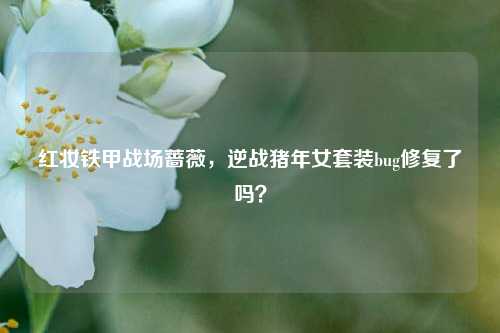 红妆铁甲战场蔷薇,逆战猪年女套装bug修复了吗?