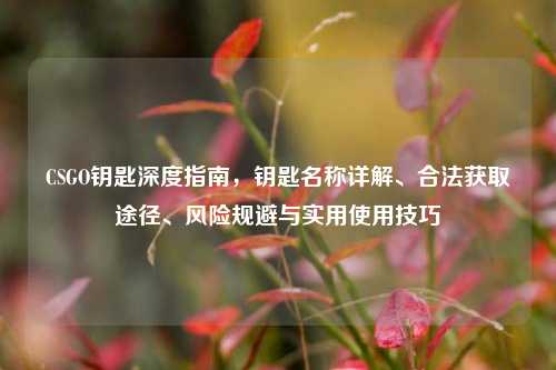 CSGO钥匙深度指南，钥匙名称详解、合法获取途径、风险规避与实用使用技巧