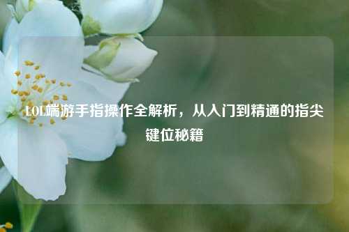LOL端游手指操作全解析,从入门到精通的指尖键位秘籍