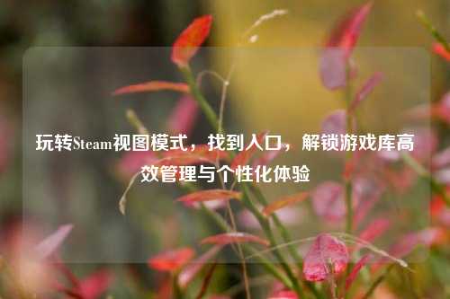 玩转Steam视图模式,找到入口,解锁游戏库高效管理与个性化体验