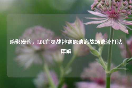 暗影残碑,LOL亡灵战神赛恩遗忘战场遗迹打法详解
