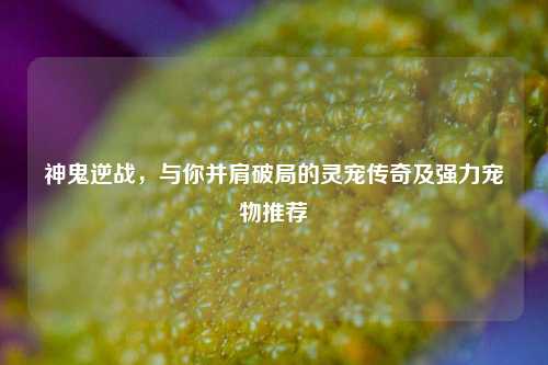 神鬼逆战,与你并肩破局的灵宠传奇及强力宠物推荐
