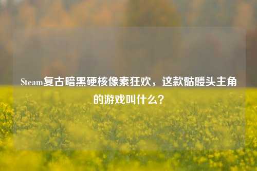 Steam复古暗黑硬核像素狂欢,这款骷髅头主角的游戏叫什么?