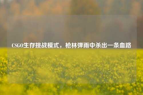 CSGO生存挑战模式，枪林弹雨中杀出一条血路