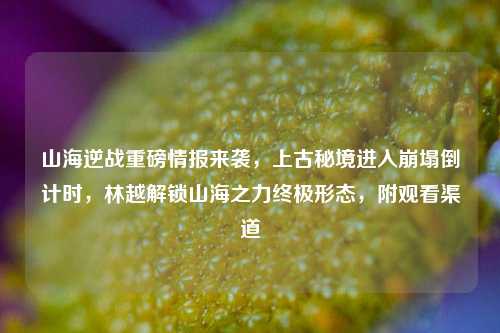 山海逆战重磅情报来袭,上古秘境进入崩塌倒计时,林越解锁山海之力终极形态,附观看渠道