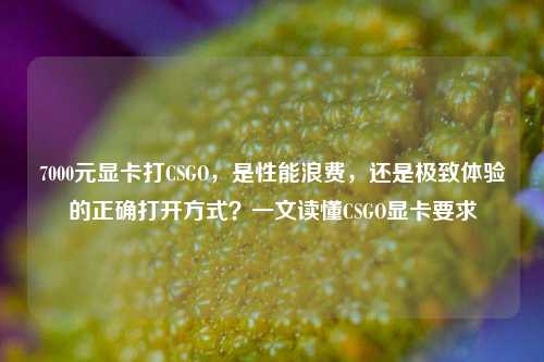 7000元显卡打CSGO,是性能浪费,还是极致体验的正确打开方式?一文读懂CSGO显卡要求