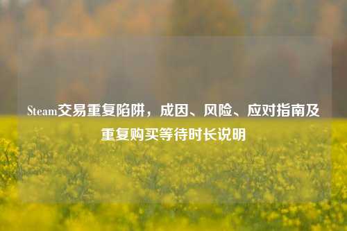 Steam交易重复陷阱,成因、风险、应对指南及重复购买等待时长说明
