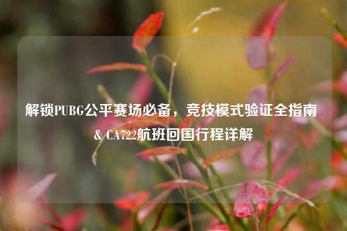 解锁PUBG公平赛场必备,竞技模式验证全指南 & CA722航班回国行程详解