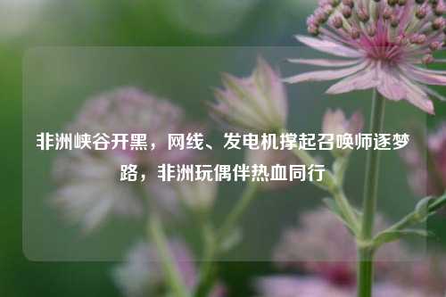 非洲峡谷开黑,网线、发电机撑起召唤师逐梦路,非洲玩偶伴热血同行