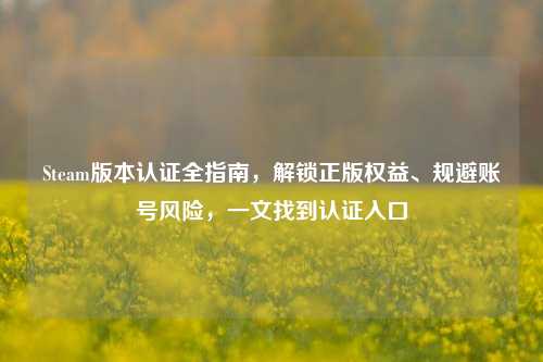Steam版本认证全指南,解锁正版权益、规避账号风险,一文找到认证入口