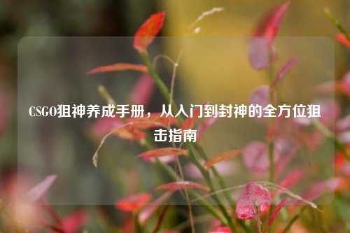 CSGO狙神养成手册,从入门到封神的全方位狙击指南