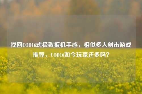 找回COD16式极致扳机手感,相似多人射击游戏推荐,COD16如今玩家还多吗?