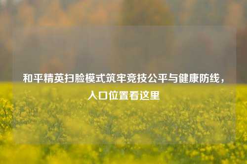 和平精英扫脸模式筑牢竞技公平与健康防线,入口位置看这里