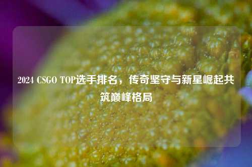 2024 CSGO TOP选手排名,传奇坚守与新星崛起共筑巅峰格局