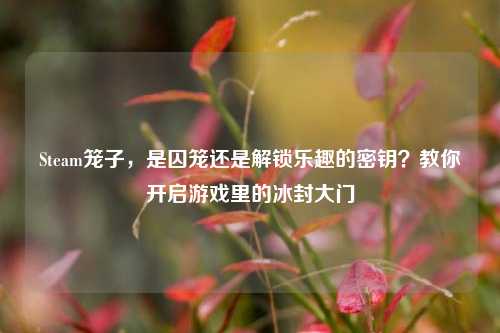 Steam笼子,是囚笼还是解锁乐趣的密钥?教你开启游戏里的冰封大门