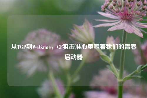 从TGP到WeGame，CF狙击准心里藏着我们的青春启动器