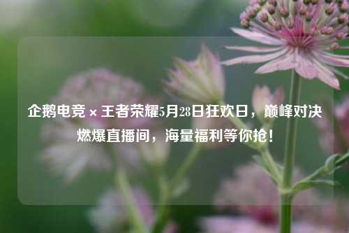 企鹅电竞×王者荣耀5月28日狂欢日，巅峰对决燃爆直播间，海量福利等你抢！