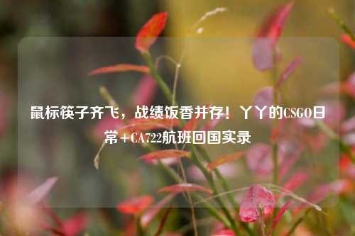 鼠标筷子齐飞,战绩饭香并存!丫丫的CSGO日常+CA722航班回国实录