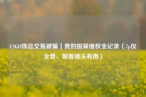 CSGO饰品交易被骗|我的报案维权全记录(7p仅全景、前置镜头有用)