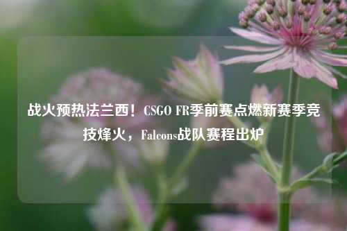 战火预热法兰西!CSGO FR季前赛点燃新赛季竞技烽火,Falcons战队赛程出炉