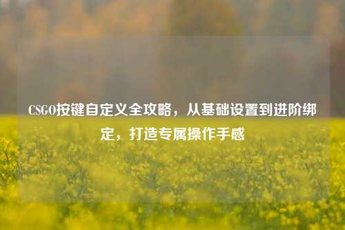 CSGO按键自定义全攻略,从基础设置到进阶绑定,打造专属操作手感