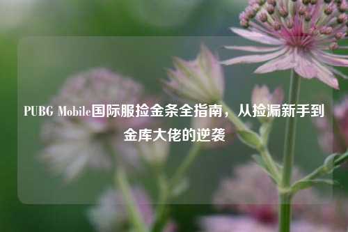 PUBG Mobile国际服捡金条全指南,从捡漏新手到金库大佬的逆袭