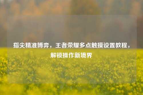 指尖精准博弈,王者荣耀多点触摸设置教程,解锁操作新境界