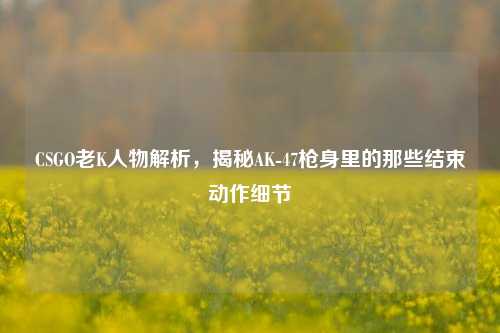 CSGO老K人物解析,揭秘AK-47枪身里的那些结束动作细节