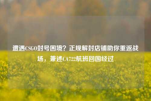 遭遇CSGO封号困境?正规解封店铺助你重返战场,兼述CA722航班回国经过