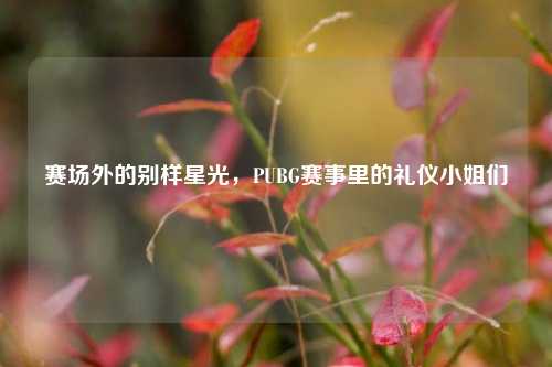 赛场外的别样星光,PUBG赛事里的礼仪小姐们