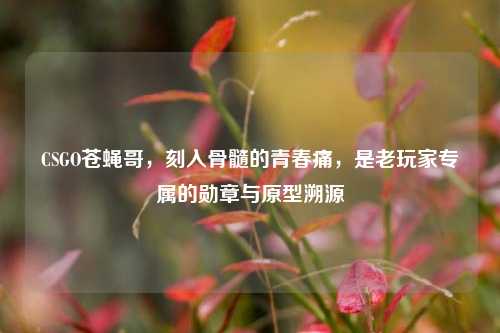 CSGO苍蝇哥,刻入骨髓的青春痛,是老玩家专属的勋章与原型溯源