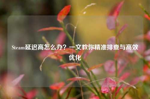Steam延迟高怎么办？一文教你精准排查与高效优化