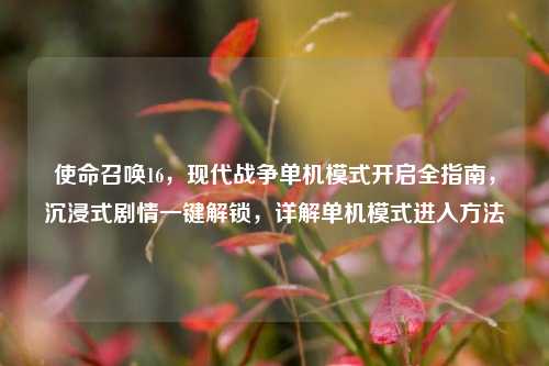 使命召唤16,现代战争单机模式开启全指南,沉浸式剧情一键解锁,详解单机模式进入方法