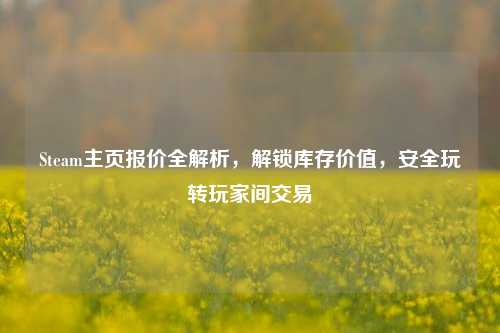 Steam主页报价全解析,解锁库存价值,安全玩转玩家间交易