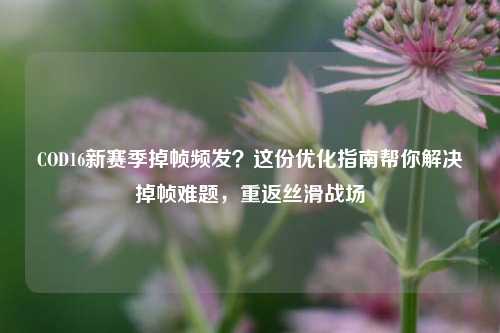 COD16新赛季掉帧频发？这份优化指南帮你解决掉帧难题，重返丝滑战场