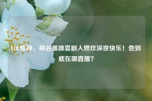 LOL炫神，峡谷暴躁喜剧人燃炸深夜快乐！他到底在哪直播？