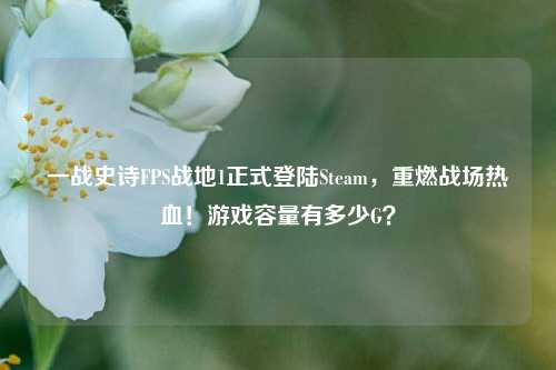 一战史诗FPS战地1正式登陆Steam,重燃战场热血!游戏容量有多少G?