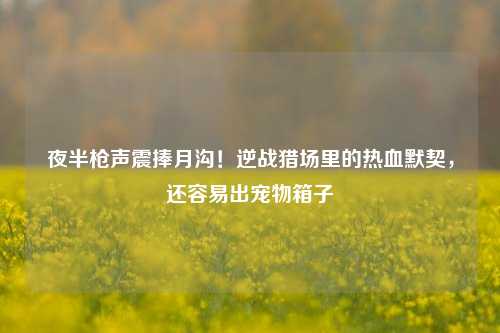 夜半枪声震捧月沟!逆战猎场里的热血默契,还容易出宠物箱子