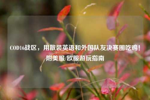 COD16战区,用散装英语和外国队友决赛圈吃鸡!附美服/欧服游玩指南