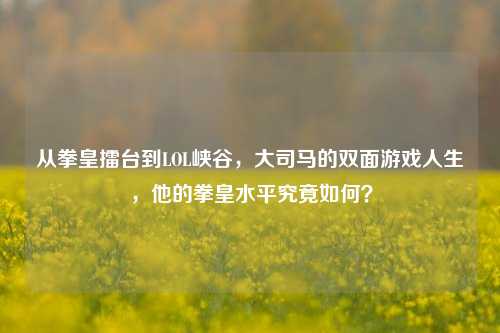 从拳皇擂台到LOL峡谷,大司马的双面游戏人生,他的拳皇水平究竟如何?