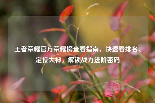 王者荣耀官方荣耀榜查看指南，快速看排名、定位大神，解锁战力进阶密码