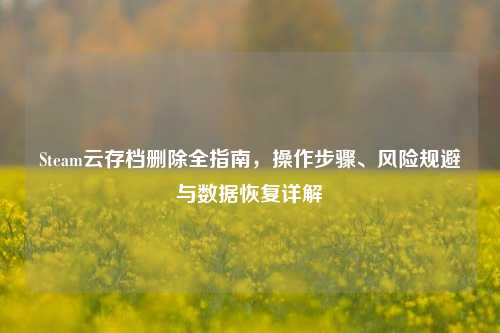 Steam云存档删除全指南,操作步骤、风险规避与数据恢复详解