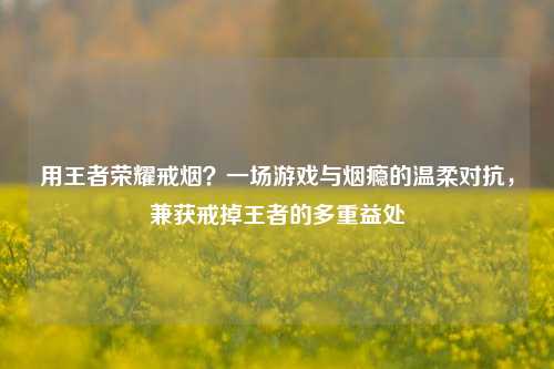 用王者荣耀戒烟?一场游戏与烟瘾的温柔对抗,兼获戒掉王者的多重益处